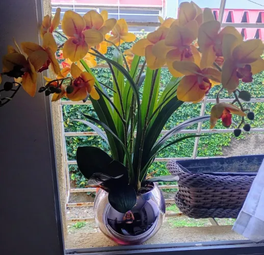 Arranjo- Orquídea