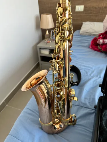 Saxofone Alto Hoyden