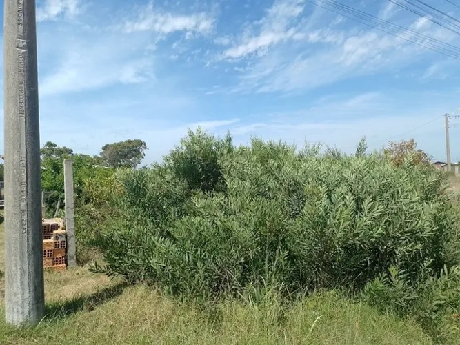 Terreno 12x25 escriturado balneario Marisul, Mariluz