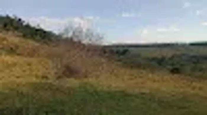 Refúgio no Campo: Sítio de Um Alqueire com Terra Nua, Conectando à Natureza Registro - Tau