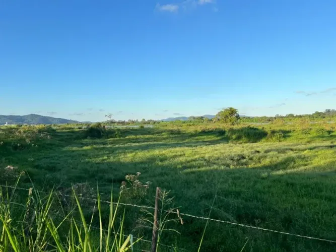 Terreno à Venda em Ilhota, SC