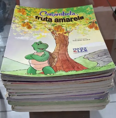 Livros do 2º ano, editora sucesso.