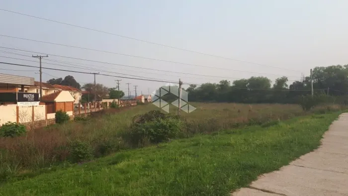 Terreno à venda no bairro Pinheiro Machado