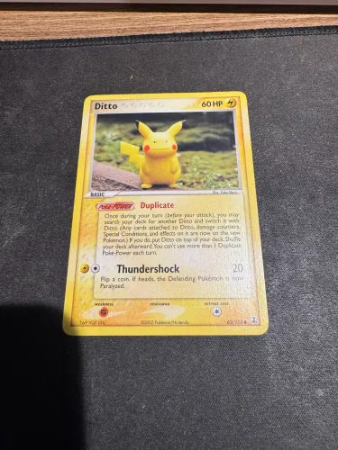 Ditto 63/113 (2005)