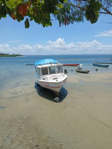Barco de fibra