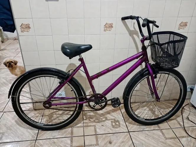 Bicicleta Poty aro 26