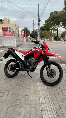 Honda XR 300l Tornado Flex 2025