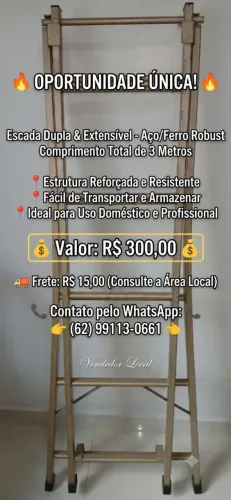 Escada de aço/ferro dupla/extensível de 3m