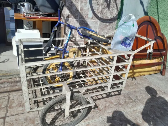 Carrinho camelô
