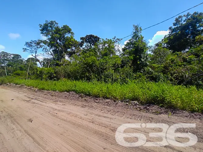 Terreno | São Francisco do Sul | Ervino