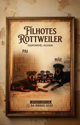 Filhotes dê rottweiler 