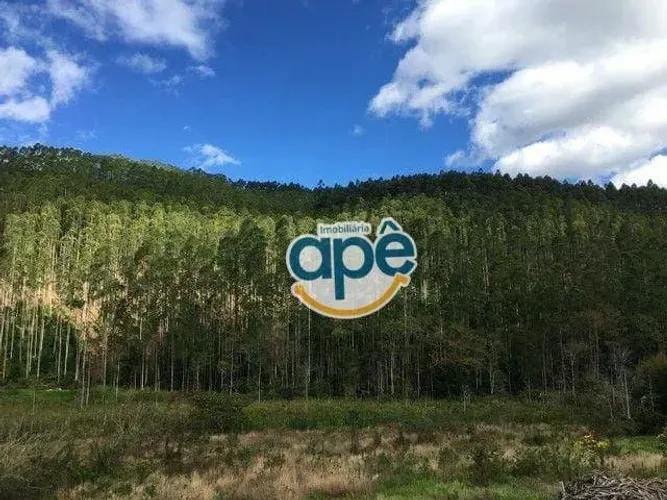 Terreno à venda, 340000 m² por R$ 3.500.000,00 - Alto Castelinho - Vargem Alta/ES