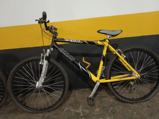 Bicicleta