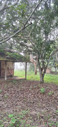 Vendo esse sítio em mujui dos campos 