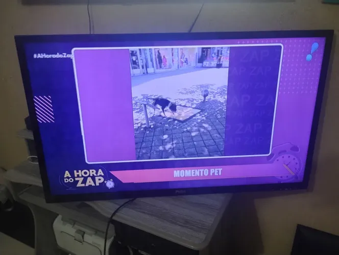 Tv 40 polegadas