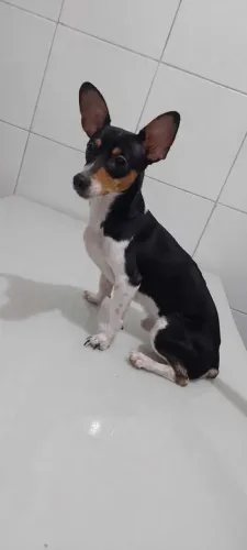 O mais lindo de hoje! 