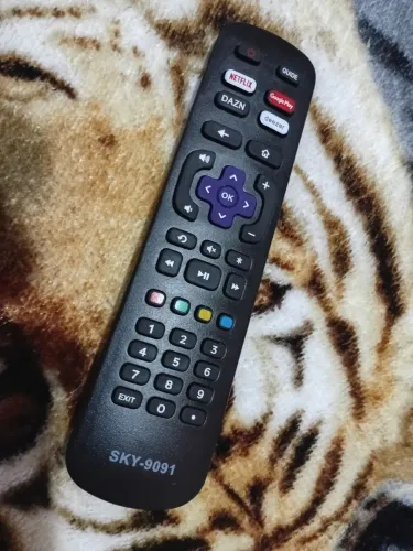 Controle Semp Roku temos para todas as marcas