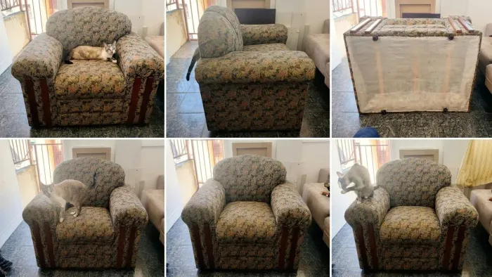 Poltrona encorpada e confortável de estilo clássico/vintage
