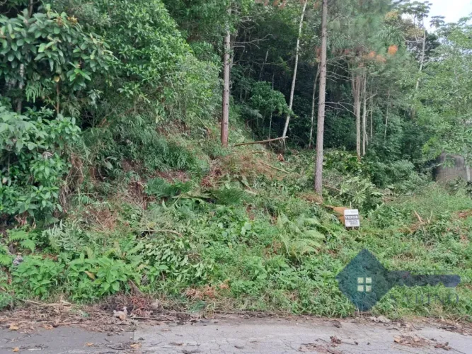 Terreno para venda, Potecas, São José