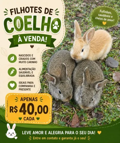 Coelho filhote