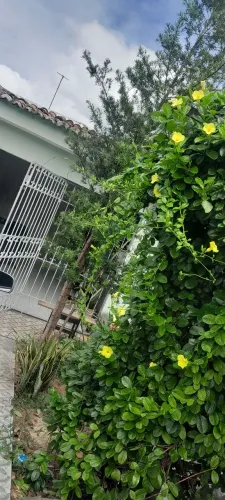 Casa pra alugar