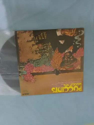 Vinil puccinis