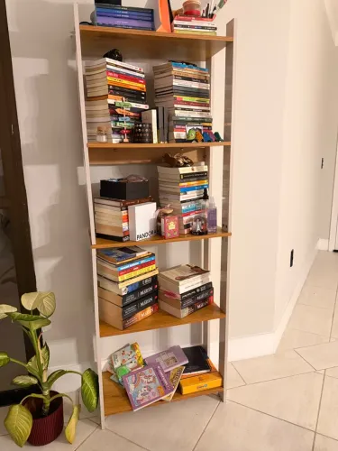Estante para livros nichos