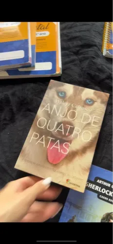 Vendo livro literário - Anjo de 4 patas e sherlok holmes casos extraordinários 