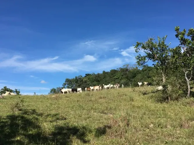VENDE -SE UMA PROPRIENDADE RURAL