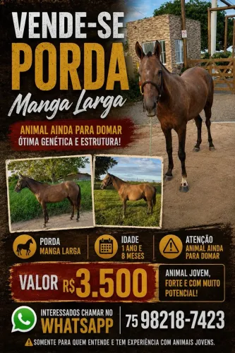 Potra