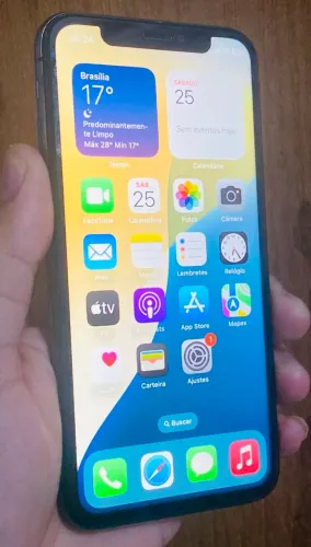 iPhone X