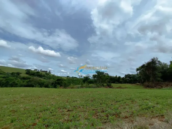 Sítio à venda, 242000 m² por R$ 1.400.000,00 - Rural - Guaraniaçu/PR