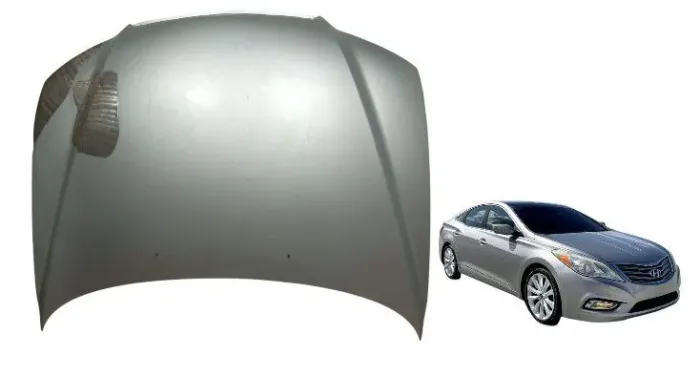 Capô Hyundai Azera 2007 a 2012 Usado Original 
