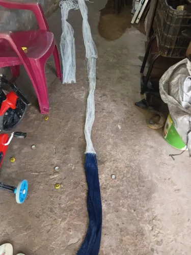 Pulça pra camarão