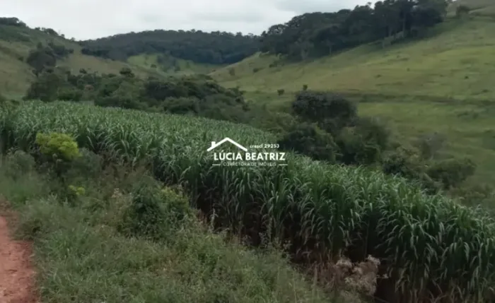 Fazenda Belíssima, Produtiva, com 1.308.000.00m², em Dom Viçoso no Sul de MG - Ideal para