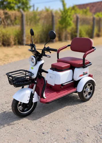 Triciclo elétrico Moto-Chefe Big Tri 1000w 2026