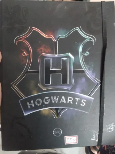 Fichário do Harry potter 
