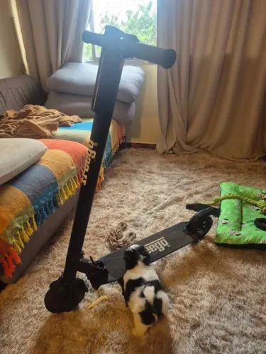 Patinete Elétrico sem trava 