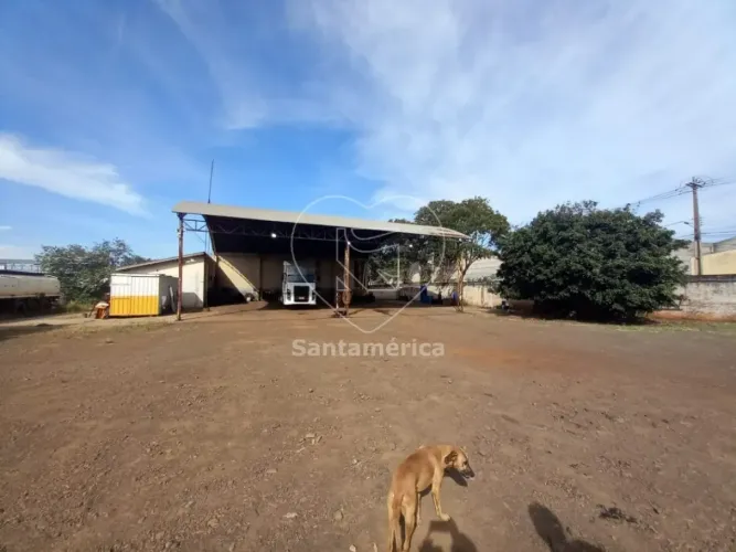 Barracão para alugar na Zona Norte de Londrina próximo à Avenida Brasília