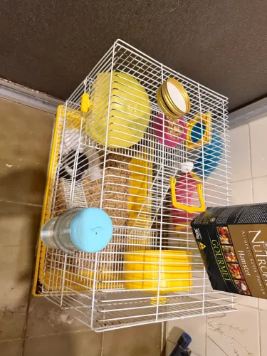 Vendo LINDO Hamster com gaiola e tudo ! 