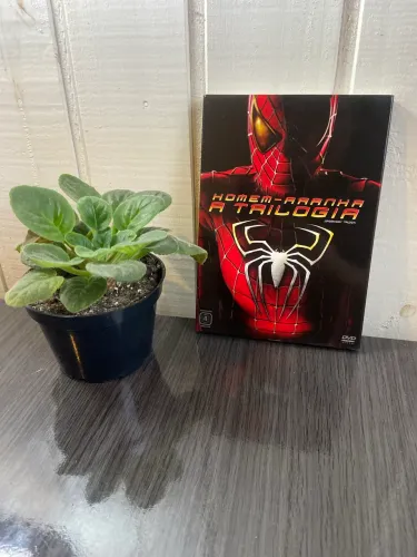 DVDs Trilogia Homem Aranha - Sam Raimi