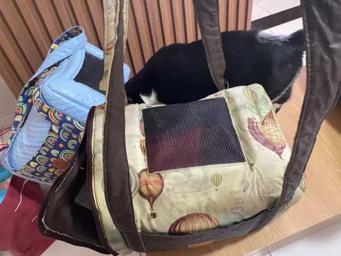 Bolsa transporta PET