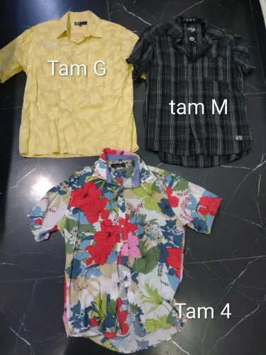 Lote com 3 camisas masculinas