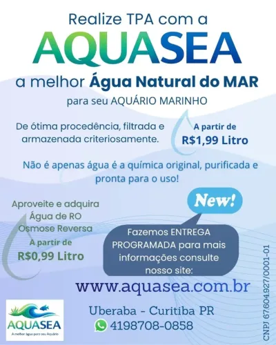 Água natural do mar para aquários marinhos