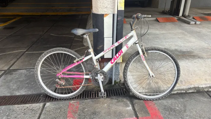 Bike Caloi Ceci Aro 20/22