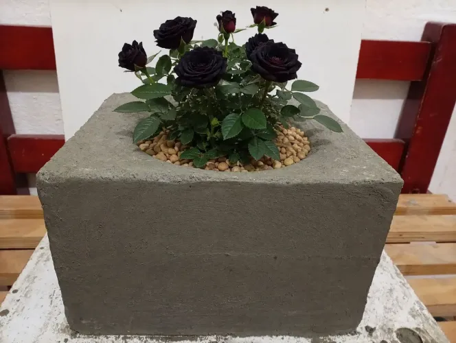 Vasos para plantas 