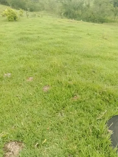LINDO SÍTIO À VENDA (PASTO) A apenas 6 km da cidade de Bom Sucesso/PR