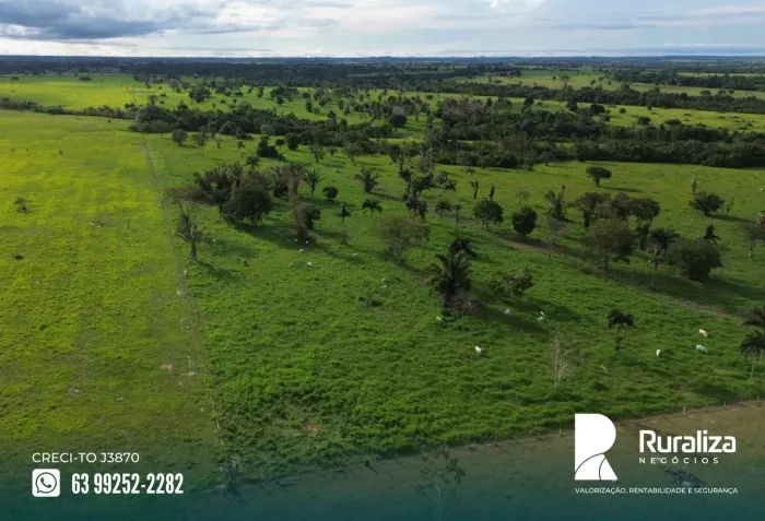 FAZENDA 270 ALQUEIRES | SUPORTE PARA 1.700 RESES | 1.100 HA FORMADOS