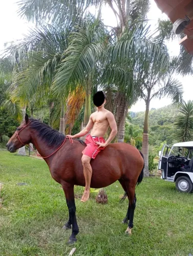 Égua mansa