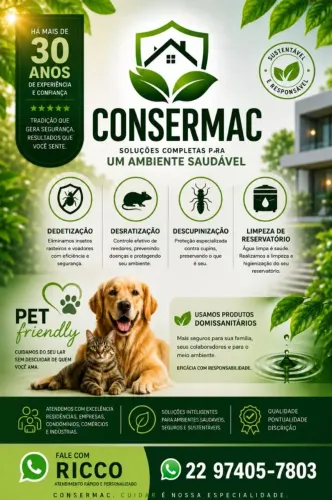 Dedetetizaçâo